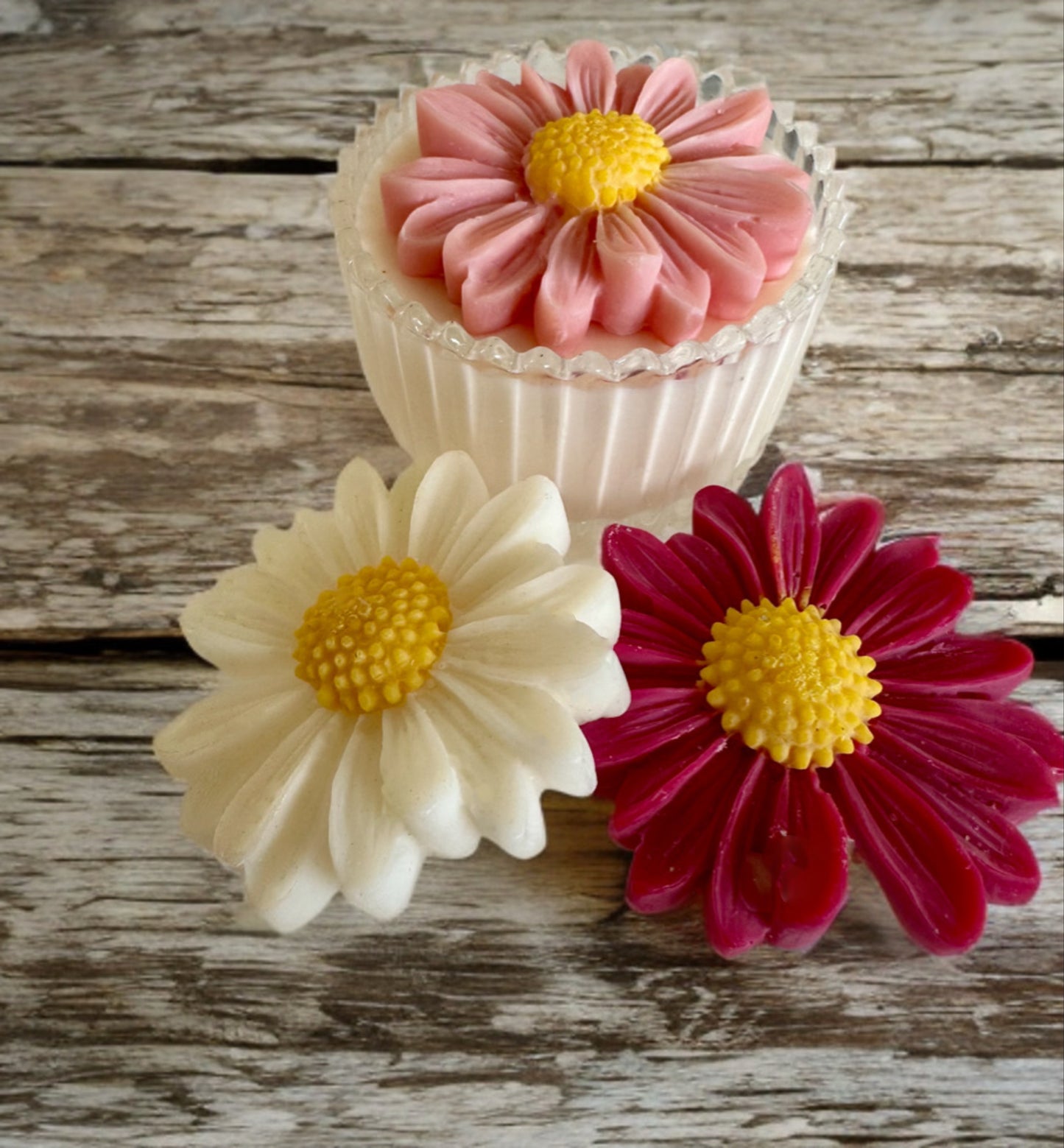 Μπομπονιέρα μαργαρίτα !